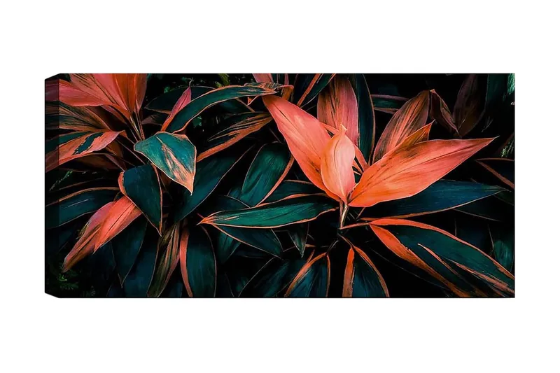 Canvasbillede YTY Floral & Botanical Flerfarvet, 120x50 cm