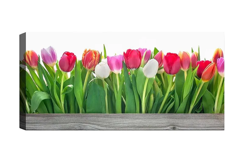 Canvasbillede YTY Floral & Botanical Flerfarvet, 120x50 cm