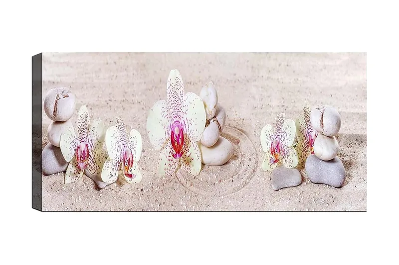 Canvasbillede YTY Floral & Botanical Flerfarvet, 120x50 cm