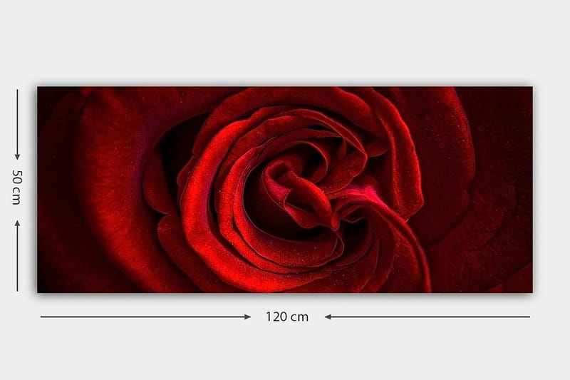 Canvasbillede YTY Floral & Botanical Flerfarvet - 120x50 cm - Boligtilbehør - Billeder & kunst - Billeder på lærred