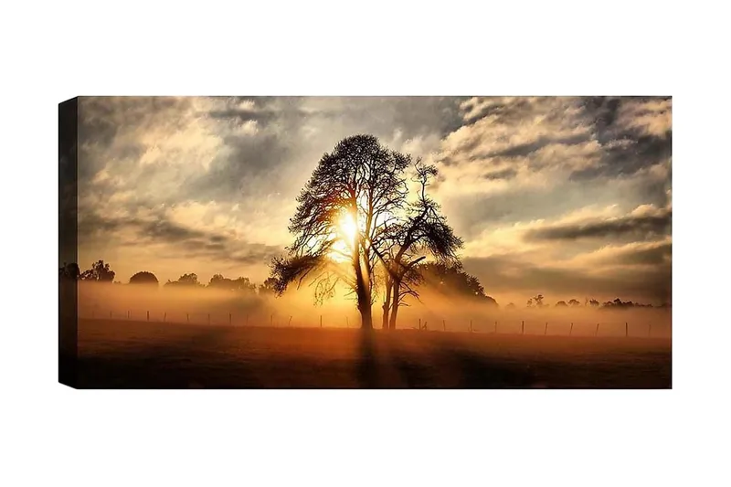 Canvasbillede YTY Landscape & Nature Flerfarvet, 120x50 cm