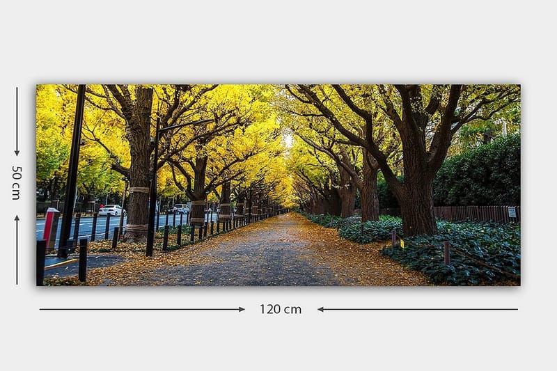 Canvasbillede YTY Landscape & Nature Flerfarvet - 120x50 cm - Boligtilbehør - Billeder & kunst - Billeder på lærred