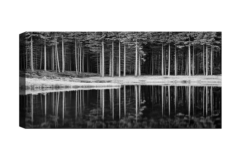 Canvasbillede YTY Landscape & Nature Flerfarvet, 120x50 cm