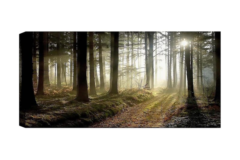 Canvasbillede YTY Landscape & Nature Flerfarvet - 120x50 cm - Boligtilbehør - Billeder & kunst - Billeder på lærred
