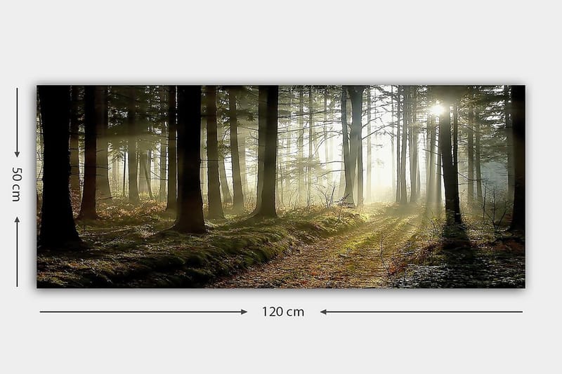 Canvasbillede YTY Landscape & Nature Flerfarvet - 120x50 cm - Boligtilbehør - Billeder & kunst - Billeder på lærred