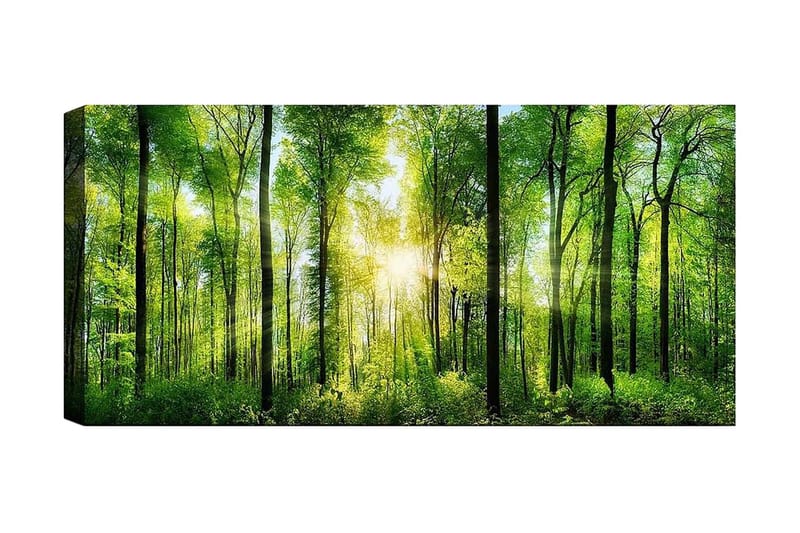 Canvasbillede YTY Landscape & Nature Flerfarvet - 120x50 cm - Boligtilbehør - Billeder & kunst - Billeder på lærred