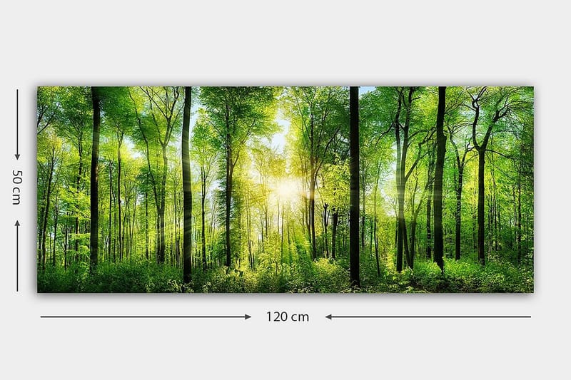 Canvasbillede YTY Landscape & Nature Flerfarvet - 120x50 cm - Boligtilbehør - Billeder & kunst - Billeder på lærred