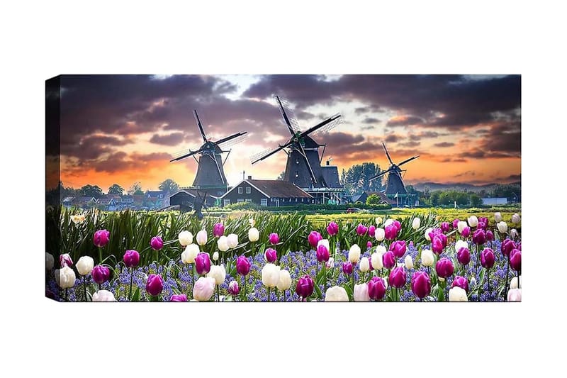 Canvasbillede YTY Landscape & Nature Flerfarvet - 120x50 cm - Boligtilbehør - Billeder & kunst - Billeder på lærred
