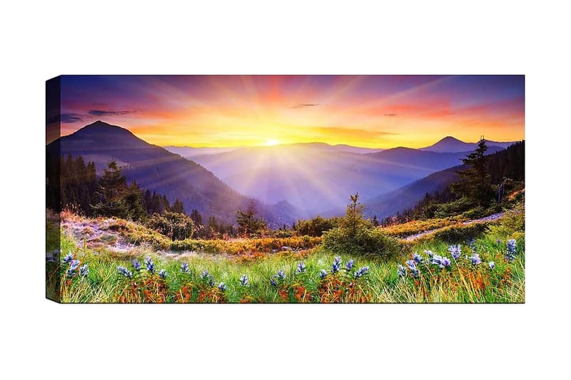 Canvasbillede YTY Landscape & Nature Flerfarvet - 120x50 cm - Boligtilbehør - Billeder & kunst - Billeder på lærred