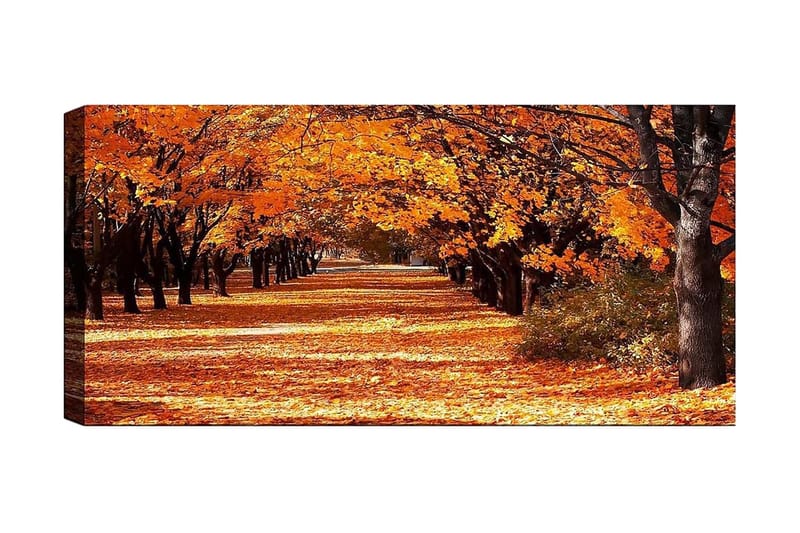 Canvasbillede YTY Landscape & Nature Flerfarvet - 120x50 cm - Boligtilbehør - Billeder & kunst - Billeder på lærred