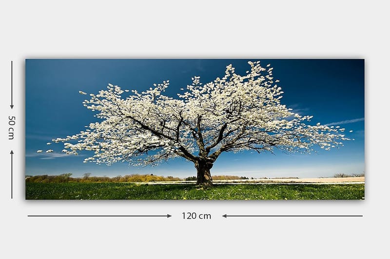 Canvasbillede YTY Landscape & Nature Flerfarvet - 120x50 cm - Boligtilbehør - Billeder & kunst - Billeder på lærred