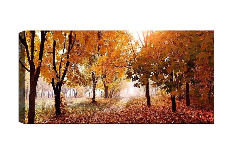 Canvasbillede YTY Landscape & Nature Flerfarvet - 120x50 cm - Boligtilbehør - Billeder & kunst - Billeder på lærred