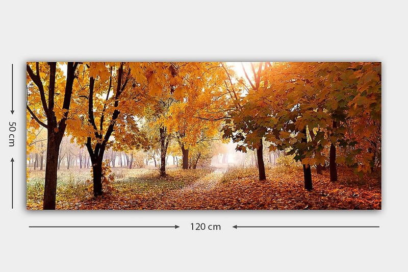 Canvasbillede YTY Landscape & Nature Flerfarvet - 120x50 cm - Boligtilbehør - Billeder & kunst - Billeder på lærred