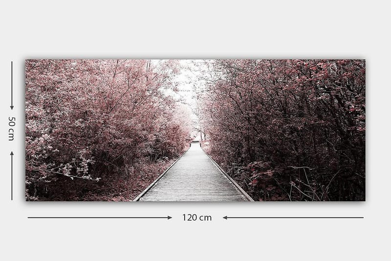 Canvasbillede YTY Landscape & Nature Flerfarvet - 120x50 cm - Boligtilbehør - Billeder & kunst - Billeder på lærred