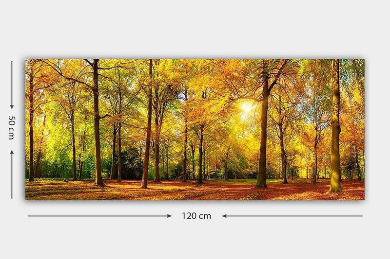 Canvasbillede YTY Landscape & Nature Flerfarvet - 120x50 cm - Boligtilbehør - Billeder & kunst - Billeder på lærred