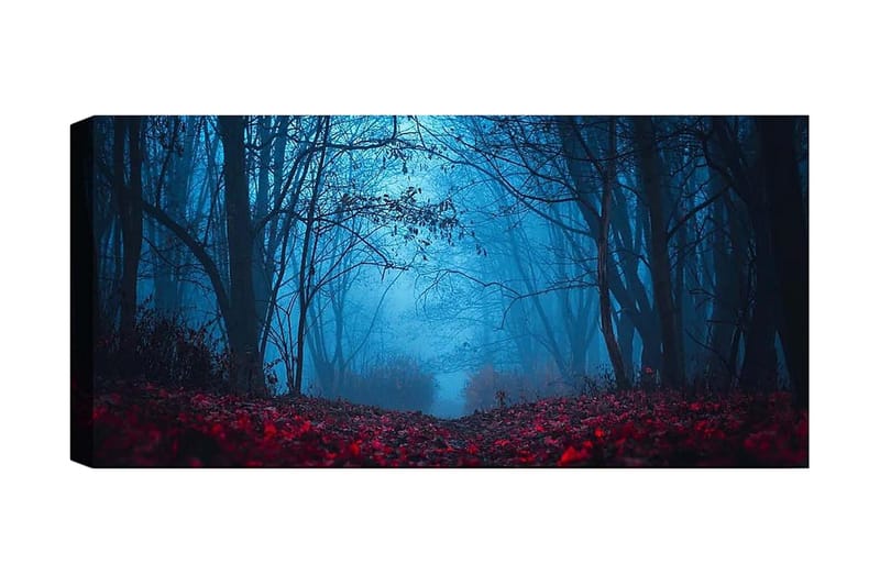 Canvasbillede YTY Landscape & Nature Flerfarvet - 120x50 cm - Boligtilbehør - Billeder & kunst - Billeder på lærred