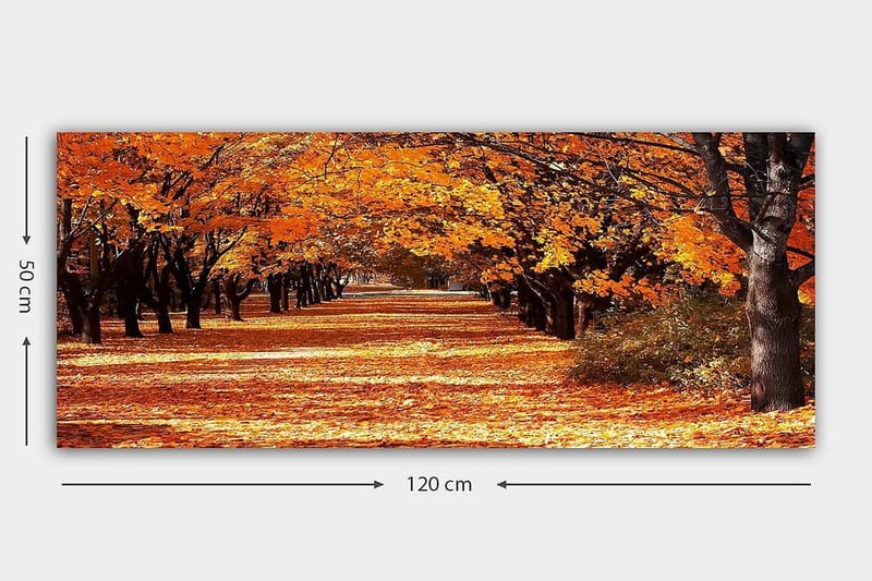 Canvasbillede YTY Landscape & Nature Flerfarvet - 120x50 cm - Boligtilbehør - Billeder & kunst - Billeder på lærred