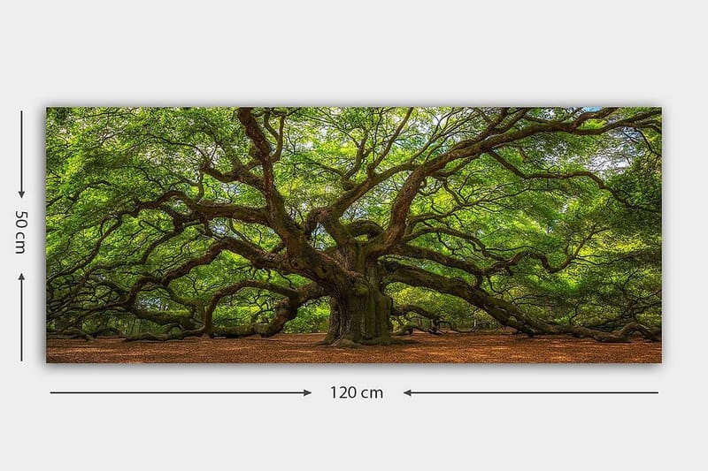 Canvasbillede YTY Landscape & Nature Flerfarvet - 120x50 cm - Boligtilbehør - Billeder & kunst - Billeder på lærred