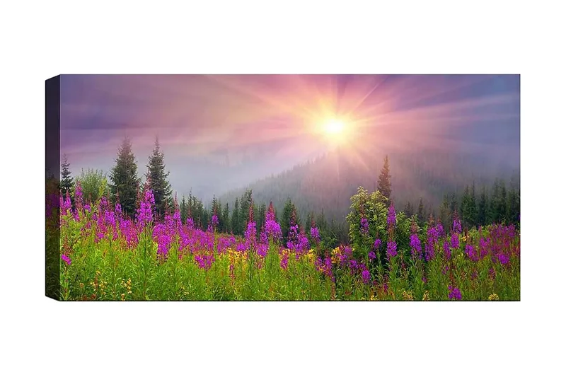 Canvasbillede YTY Landscape & Nature Flerfarvet, 120x50 cm