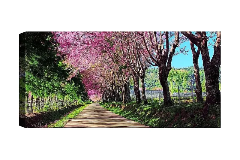 Canvasbillede YTY Landscape & Nature Flerfarvet, 120x50 cm