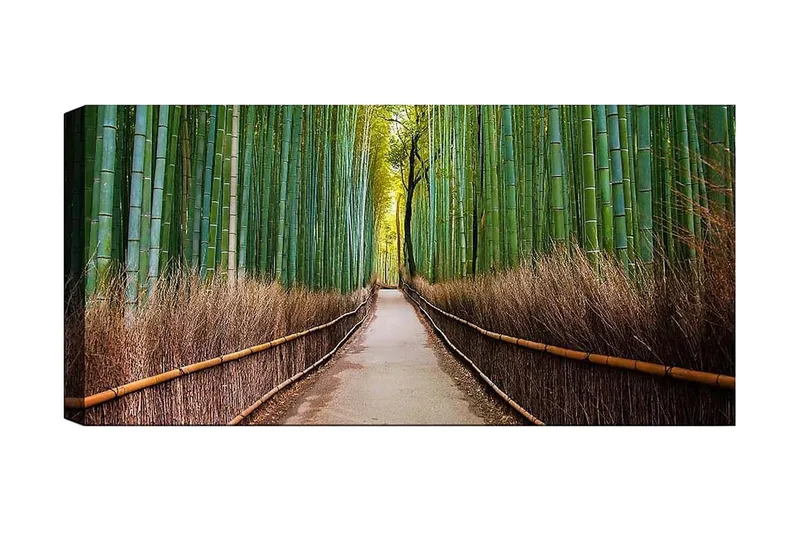 Canvasbillede YTY Landscape & Nature Flerfarvet, 120x50 cm