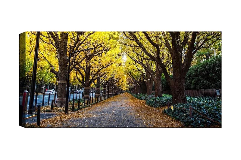 Canvasbillede YTY Landscape & Nature Flerfarvet, 120x50 cm