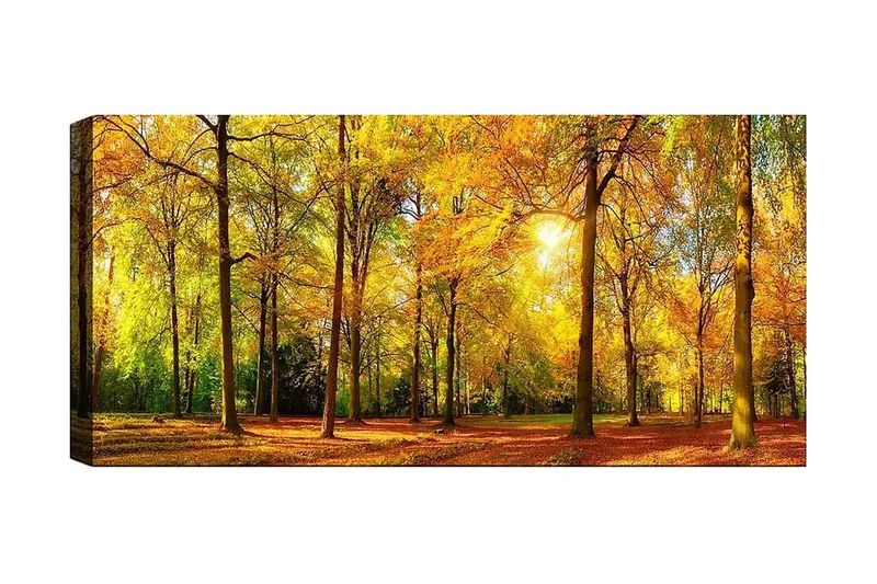 Canvasbillede YTY Landscape & Nature Flerfarvet, 120x50 cm