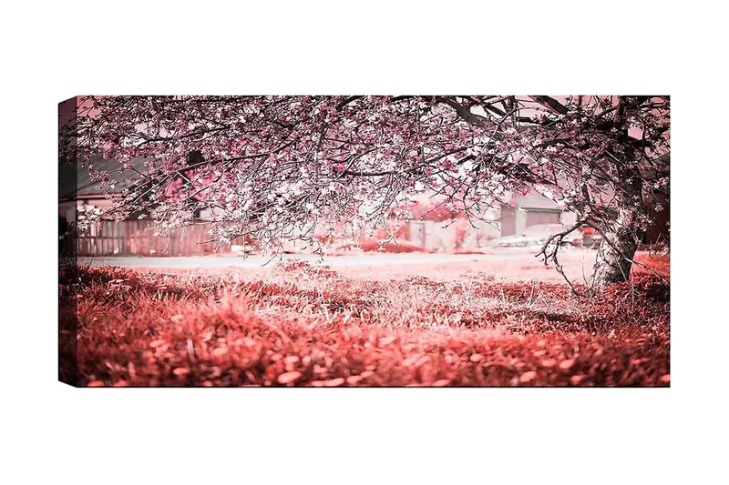 Canvasbillede YTY Landscape & Nature Flerfarvet, 120x50 cm