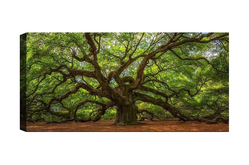 Canvasbillede YTY Landscape & Nature Flerfarvet, 120x50 cm