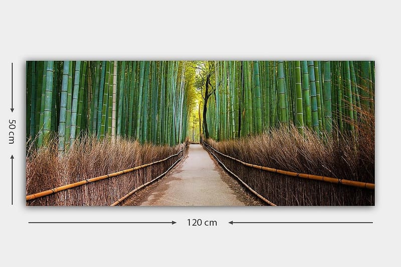 Canvasbillede YTY Landscape & Nature Flerfarvet - 120x50 cm - Boligtilbehør - Billeder & kunst - Billeder på lærred