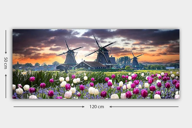 Canvasbillede YTY Landscape & Nature Flerfarvet - 120x50 cm - Boligtilbehør - Billeder & kunst - Billeder på lærred