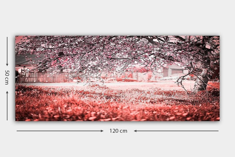 Canvasbillede YTY Landscape & Nature Flerfarvet - 120x50 cm - Boligtilbehør - Billeder & kunst - Billeder på lærred