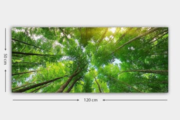 Canvasbillede YTY Landscape & Nature Flerfarvet - 120x50 cm - Boligtilbehør - Billeder & kunst - Billeder på lærred