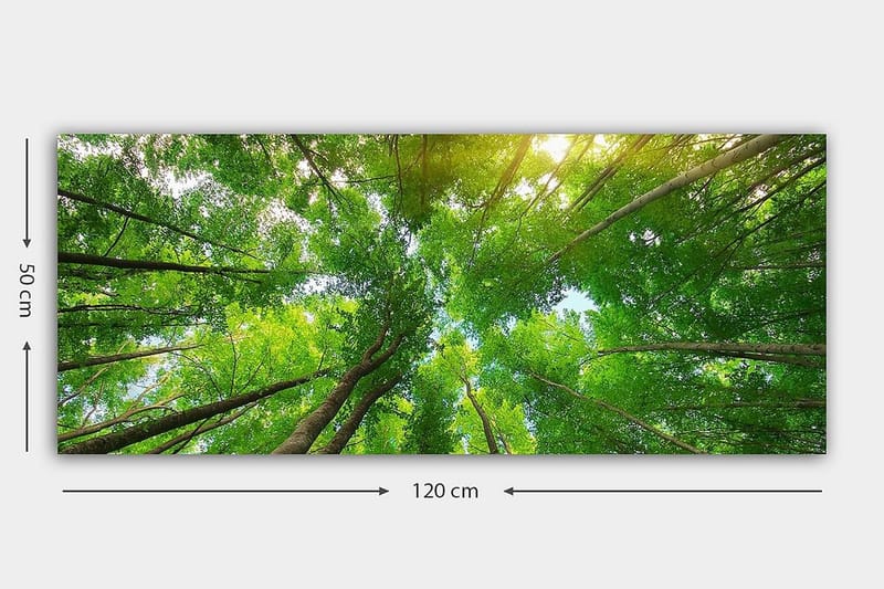 Canvasbillede YTY Landscape & Nature Flerfarvet - 120x50 cm - Boligtilbehør - Billeder & kunst - Billeder på lærred