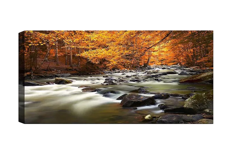 Canvasbillede YTY Landscape & Nature Flerfarvet, 120x50 cm