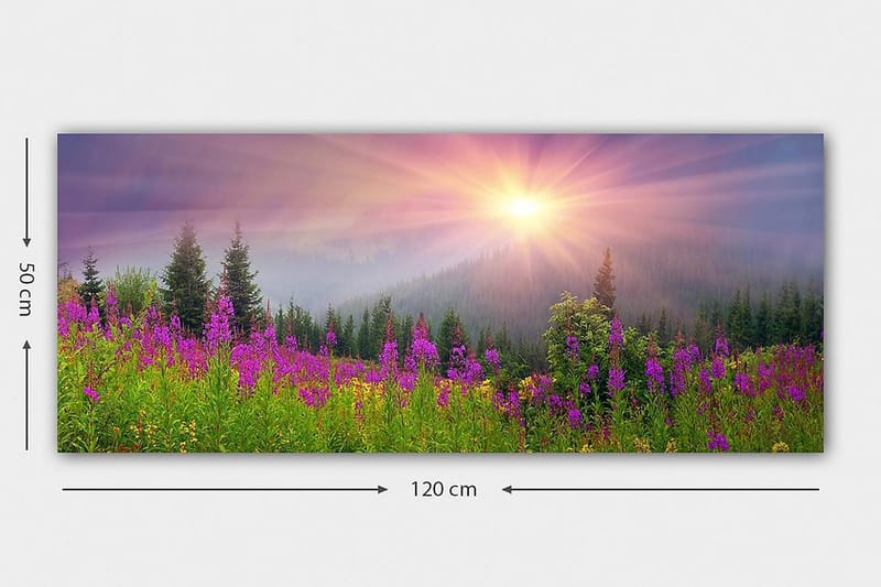 Canvasbillede YTY Landscape & Nature Flerfarvet - 120x50 cm - Boligtilbehør - Billeder & kunst - Billeder på lærred