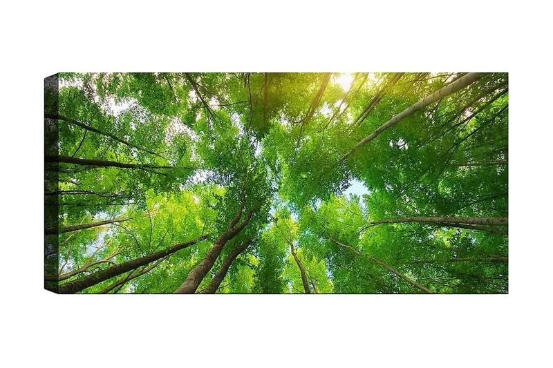 Canvasbillede YTY Landscape & Nature Flerfarvet, 120x50 cm