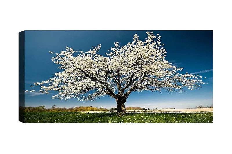 Canvasbillede YTY Landscape & Nature Flerfarvet, 120x50 cm