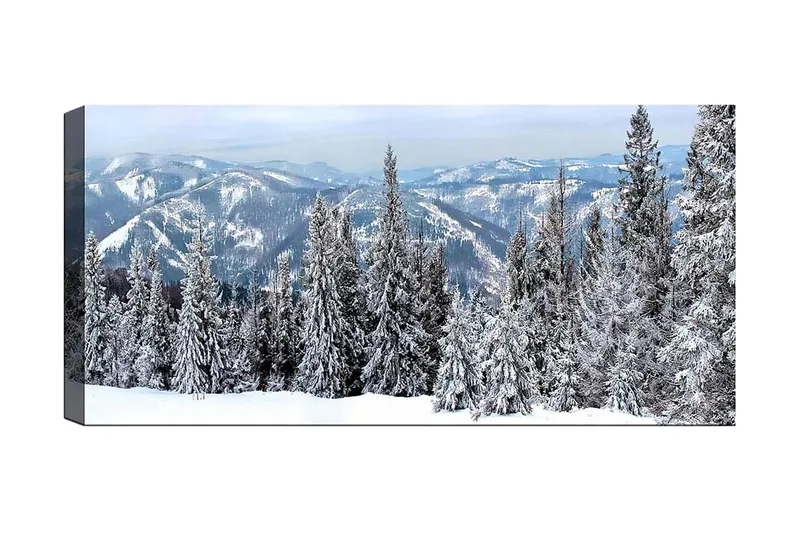 Canvasbillede YTY Landscape & Nature Flerfarvet, 120x50 cm