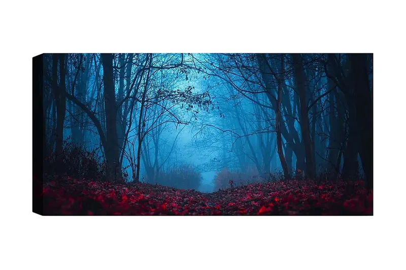 Canvasbillede YTY Landscape & Nature Flerfarvet, 120x50 cm