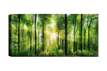Canvasbillede YTY Landscape & Nature Flerfarvet - 120x50 cm - Boligtilbehør - Billeder & kunst - Billeder på lærred