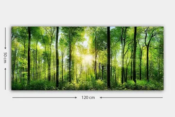 Canvasbillede YTY Landscape & Nature Flerfarvet - 120x50 cm - Boligtilbehør - Billeder & kunst - Billeder på lærred