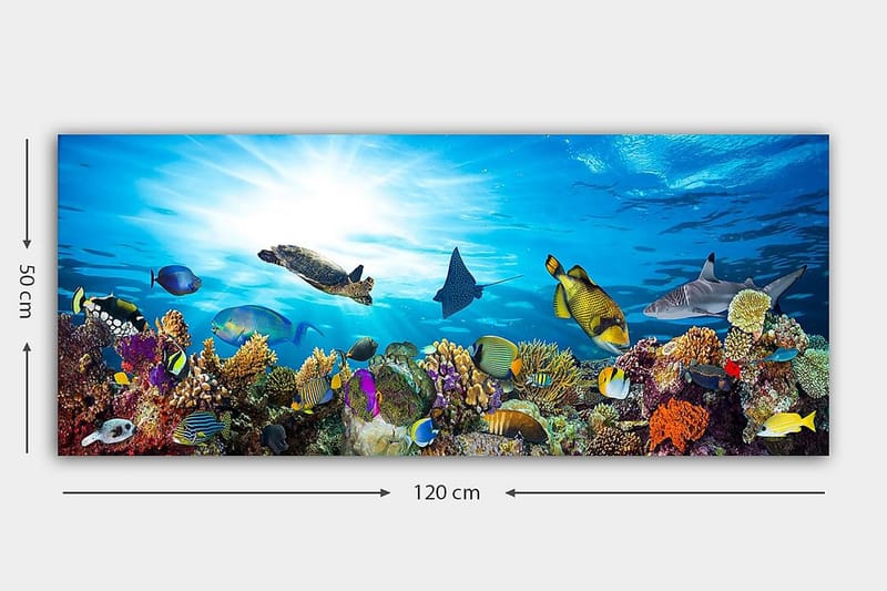 Canvasbillede YTY Nautical & Beach Flerfarvet - 120x50 cm - Boligtilbehør - Billeder & kunst - Billeder på lærred