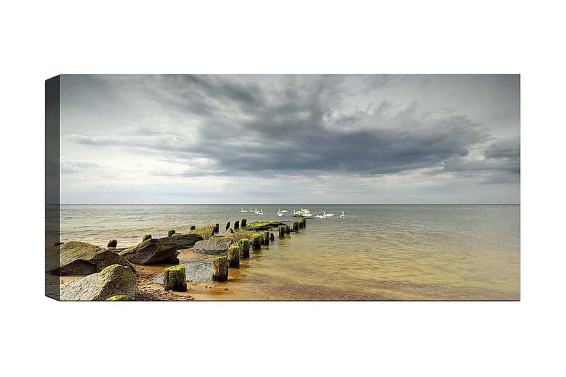 Canvasbillede YTY Nautical & Beach Flerfarvet, 120x50 cm