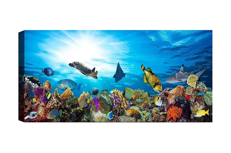 Canvasbillede YTY Nautical & Beach Flerfarvet, 120x50 cm