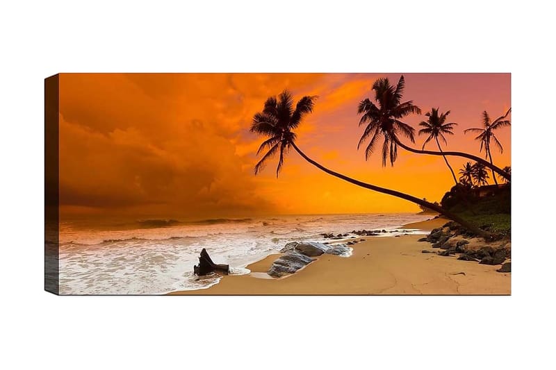 Canvasbillede YTY Nautical & Beach Flerfarvet, 120x50 cm