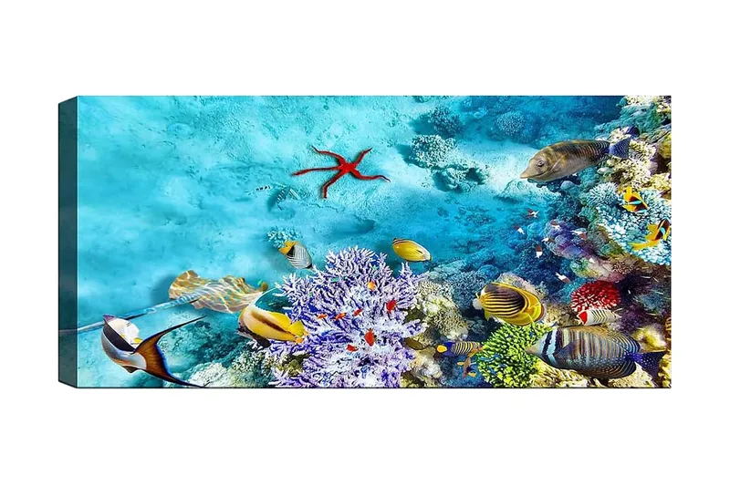 Canvasbillede YTY Nautical & Beach Flerfarvet, 120x50 cm