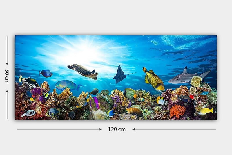 Canvasbillede YTY Nautical & Beach Flerfarvet - 120x50 cm - Boligtilbehør - Billeder & kunst - Billeder på lærred