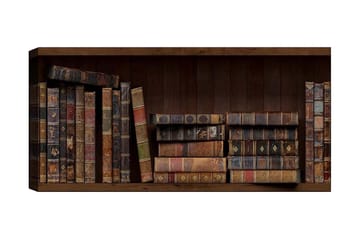 Canvasbillede YTY Reading and Literature Flerfarvet - 120x50 cm - Boligtilbehør - Billeder & kunst - Billeder på lærred