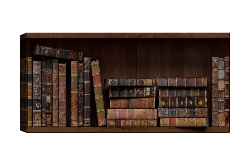 Canvasbillede YTY Reading and Literature Flerfarvet, 120x50 cm